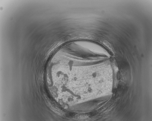 X0000061110491200512091821