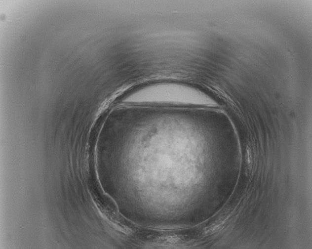 X0000061110492200512091821