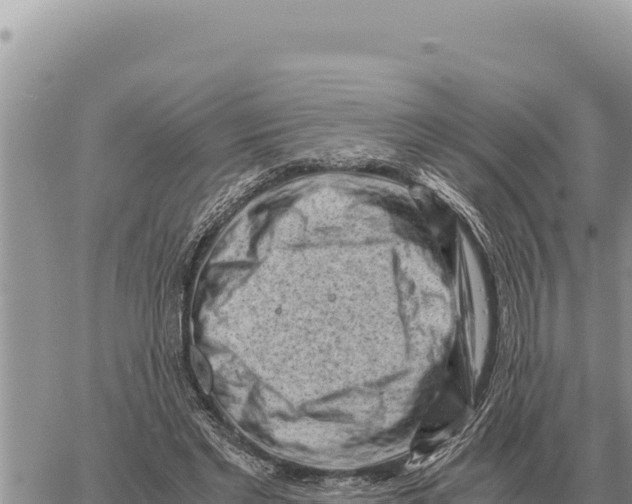 X0000061110493200512091821