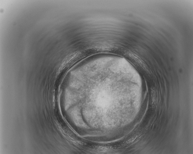 X0000061110494200512091821