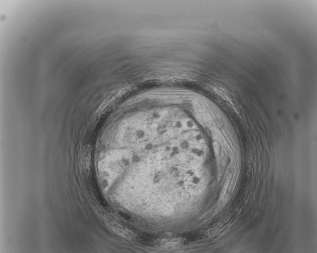 X0000061110495200512091821