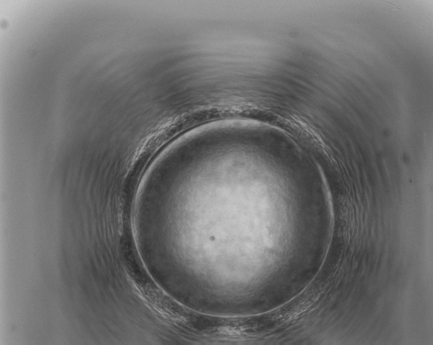 X0000061110496200512091821