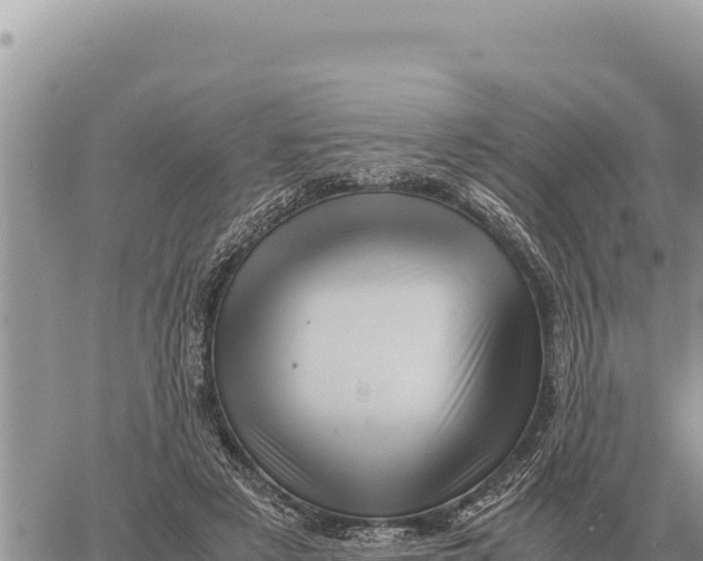 X0000061110497200512091821