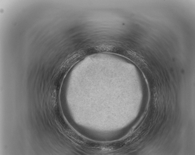 X0000061110498200512091821