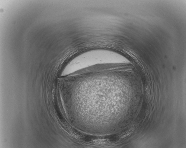 X0000061110499200512091821