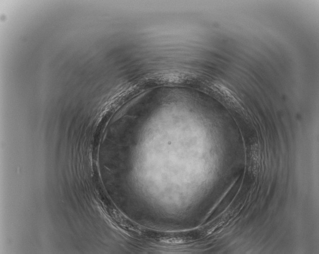 X0000061110500200512091821