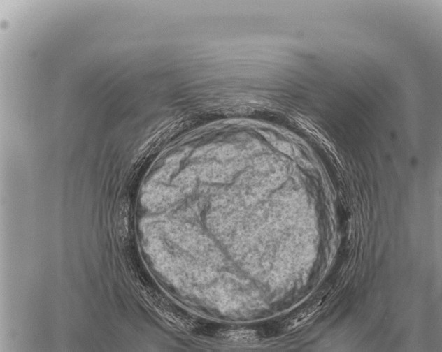 X0000061110501200512091821