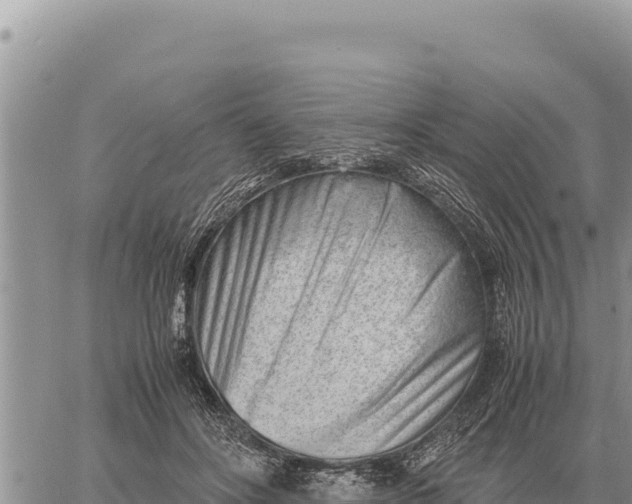 X0000061110502200512091821