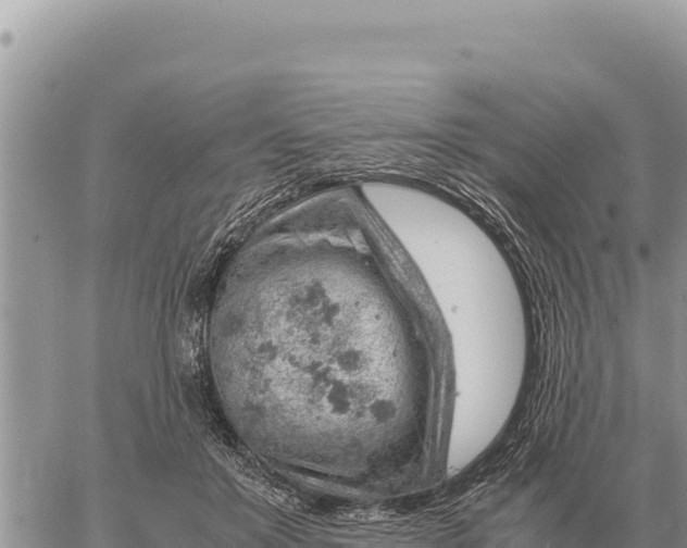 X0000061110503200512091821