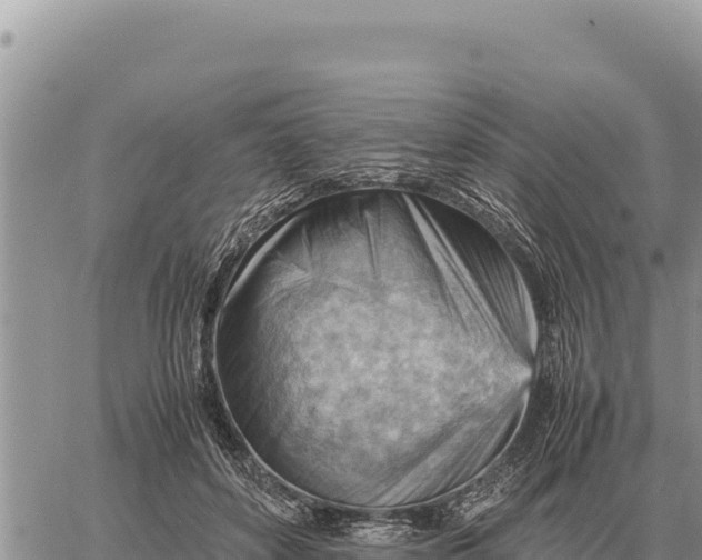 X0000061110504200512091821