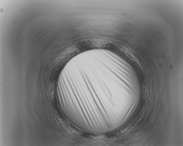 X0000061110505200512091821