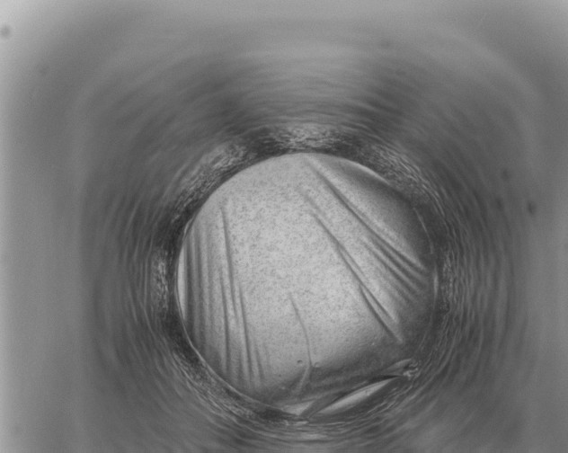 X0000061110506200512091821