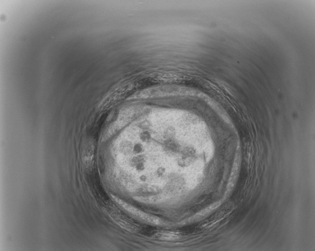 X0000061110507200512091821