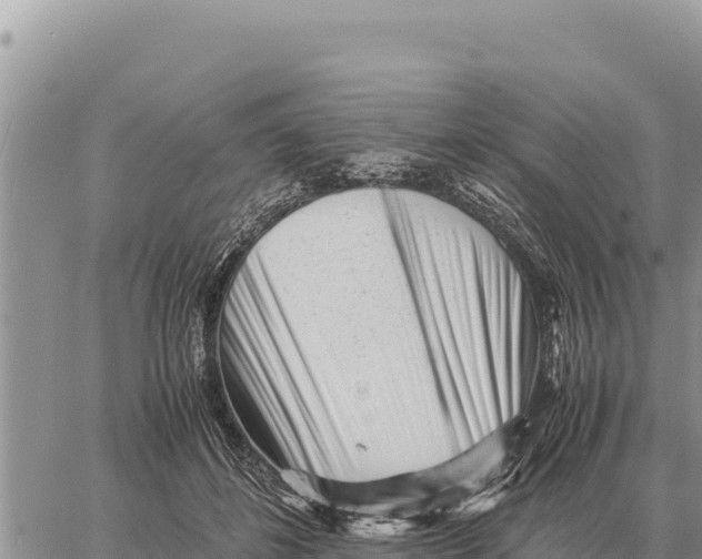 X0000061110508200512091821