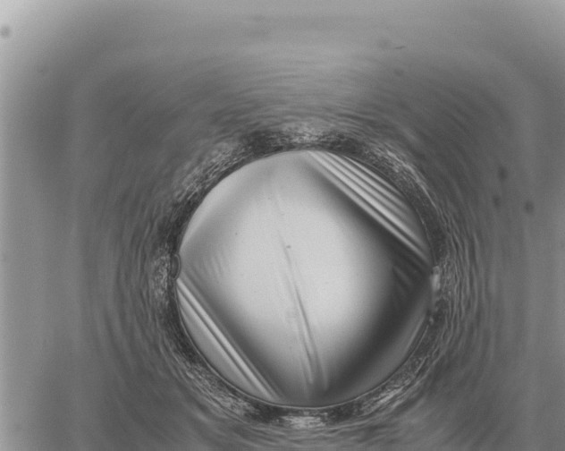 X0000061110509200512091821