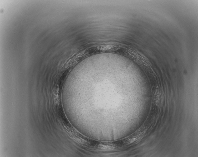 X0000061110510200512091820