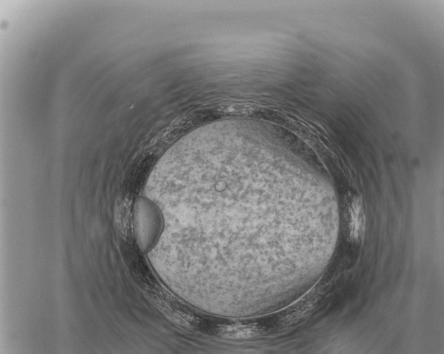 X0000061110511200512091820