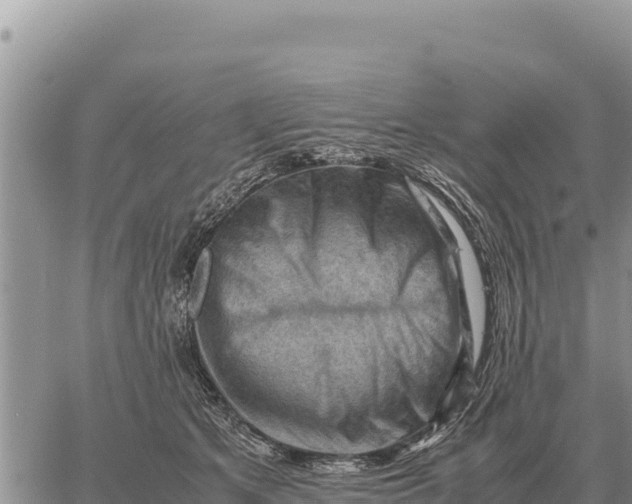 X0000061110513200512091820