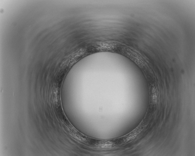 X0000061110514200512091820