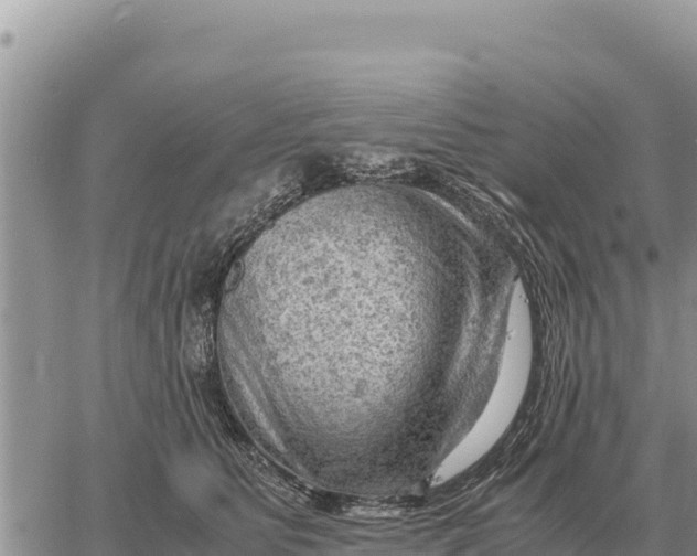 X0000061110515200512091820