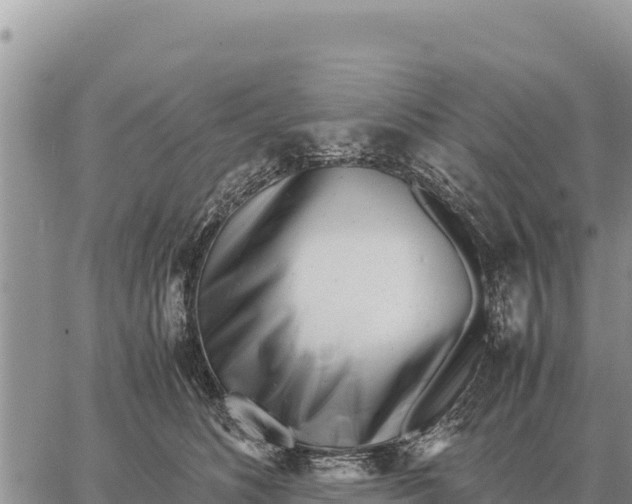 X0000061110516200512091820