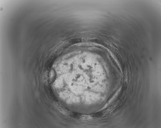 X0000061110519200512091820