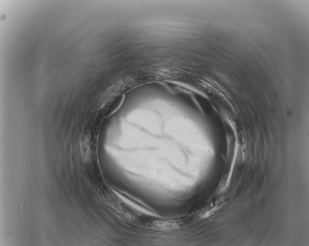 X0000061110520200512091820