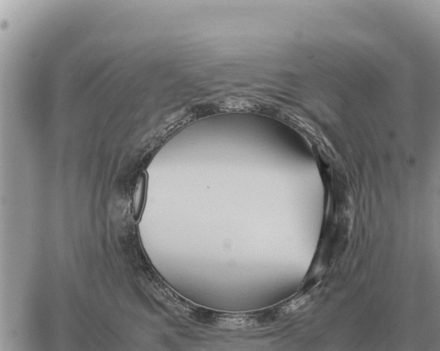 X0000061110521200512091820