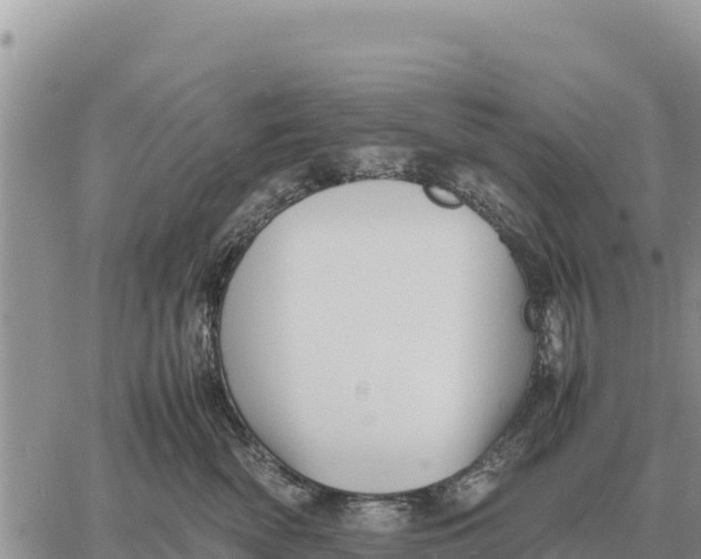 X0000061110522200512091820