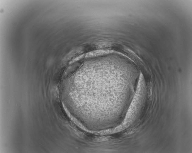 X0000061110523200512091820