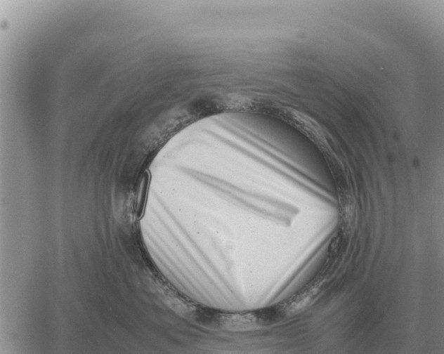 X0000061110525200512091820