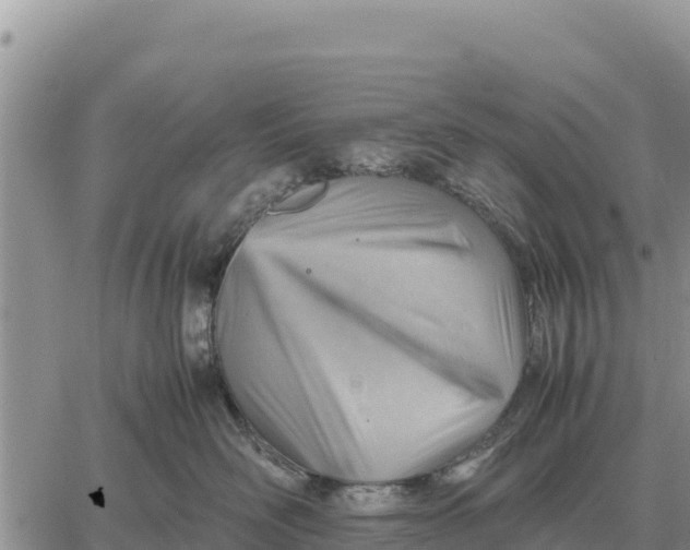 X0000061110526200512091820