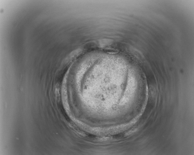 X0000061110527200512091820