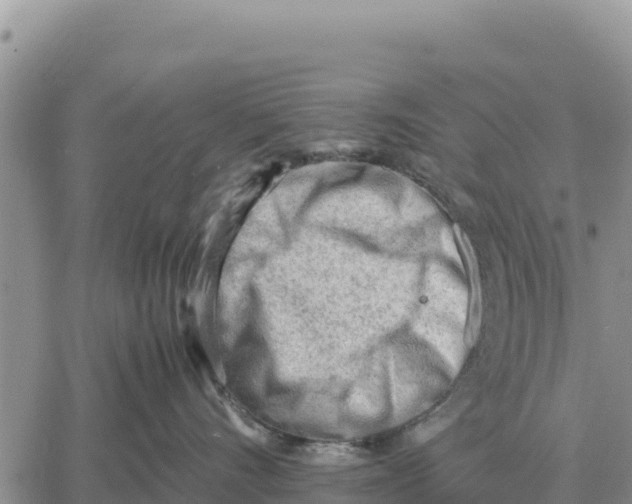 X0000061110528200512091820