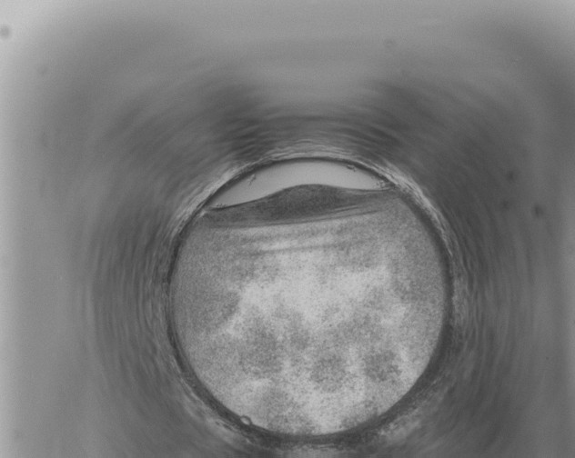 X0000061110529200512091819