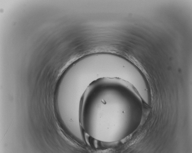 X0000061110530200512091819