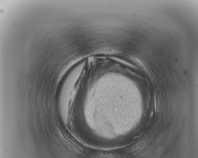 X0000061110531200512091819