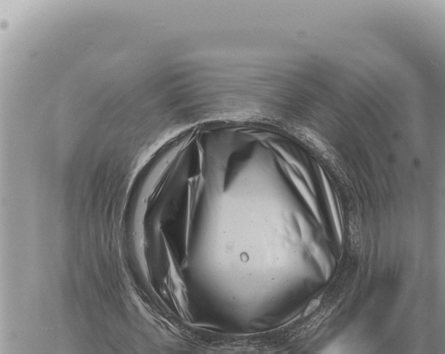 X0000061110532200512091819