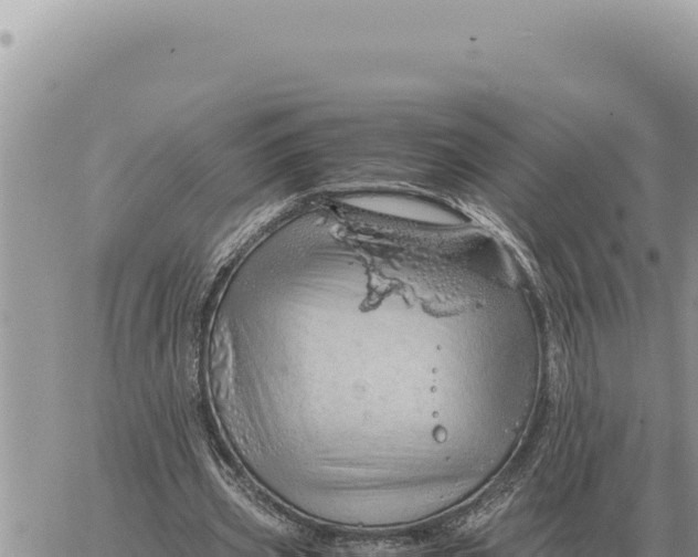 X0000061110533200512091819