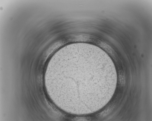 X0000061110534200512091819