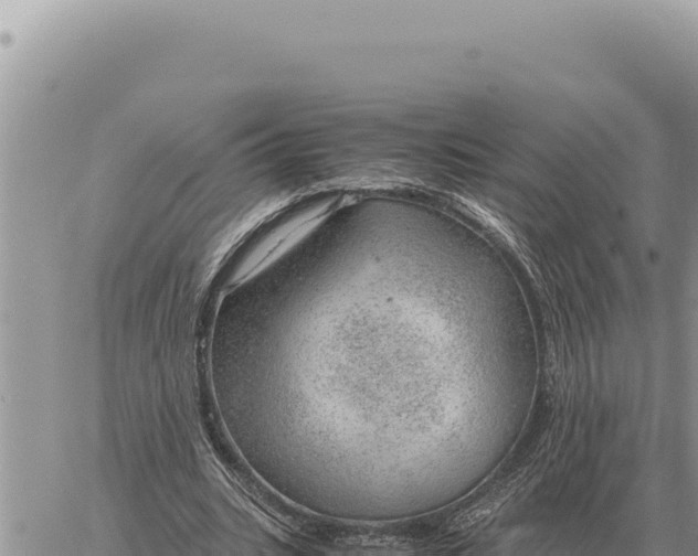 X0000061110535200512091820