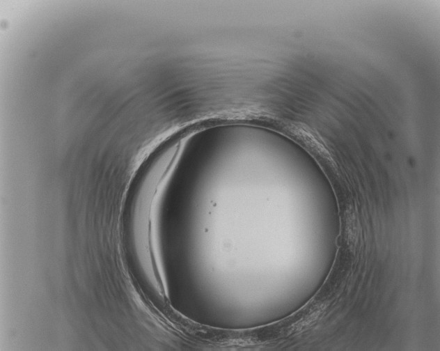 X0000061110536200512091820