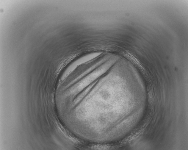 X0000061110537200512091820