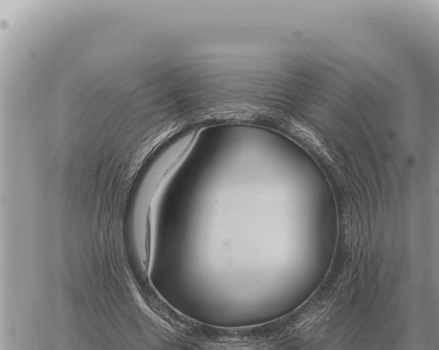 X0000061110538200512091820