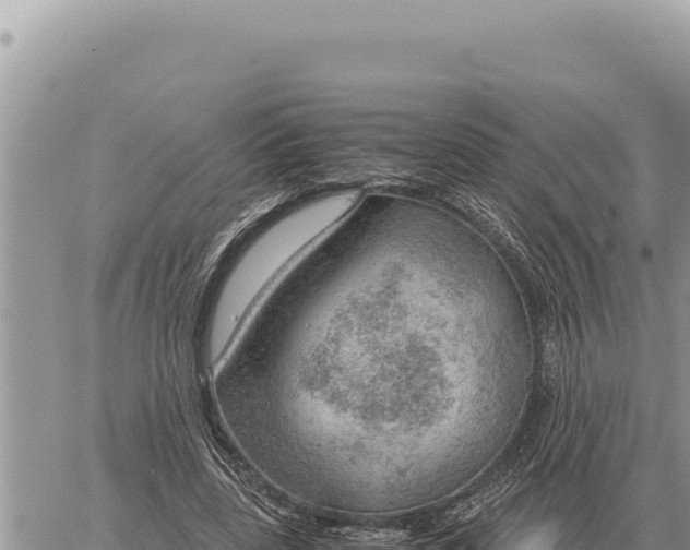 X0000061110539200512091820