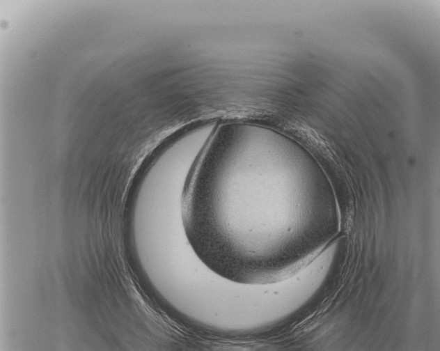 X0000061110540200512091820