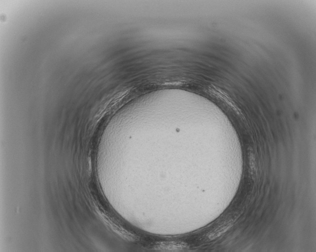 X0000061110541200512091820