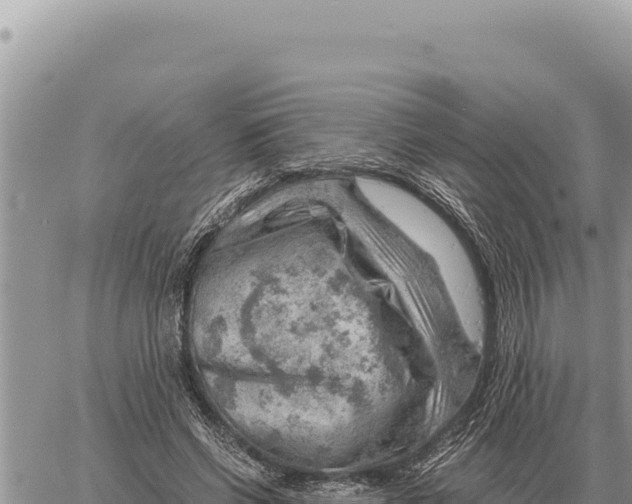 X0000061110542200512091820