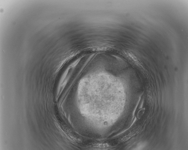 X0000061110543200512091820