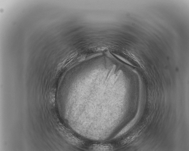 X0000061110545200512091820